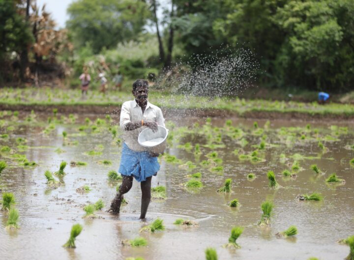 "Farmers in India participating in Herbalife's Seed-to-Mouth initiative for sustainable agriculture and income generation."