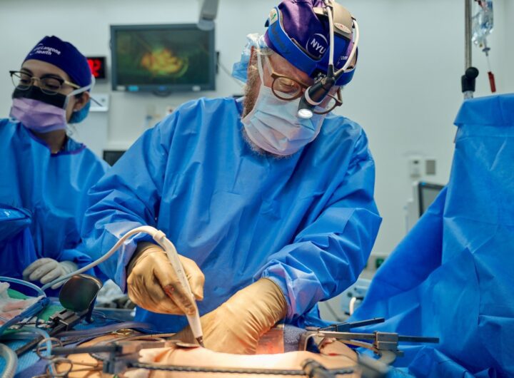 NYU Langone Health Pig Kidney Xenotransplant