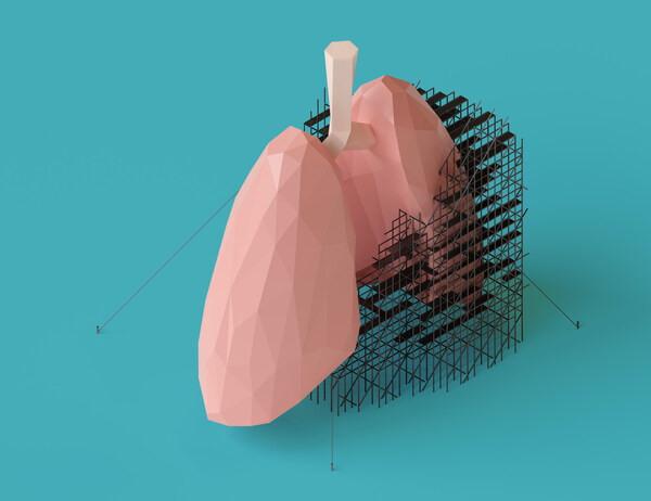 Xylyx Bio and Vanderbilt University Agreement